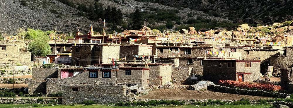 Halji, Humla