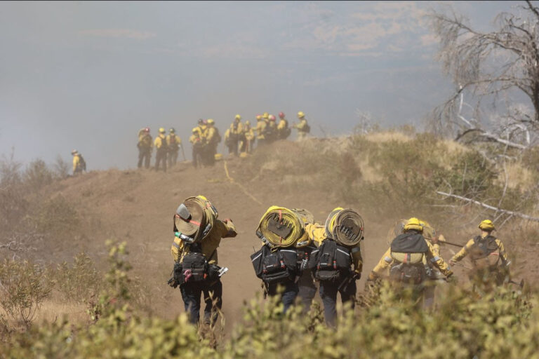 CAL FIRE