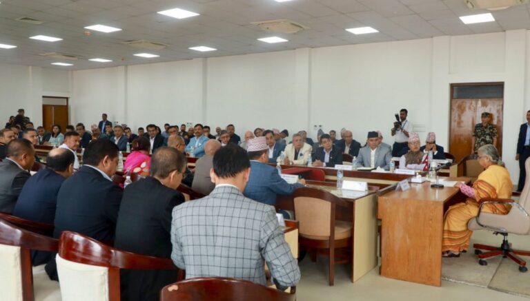 PM Karki, Private SEctor