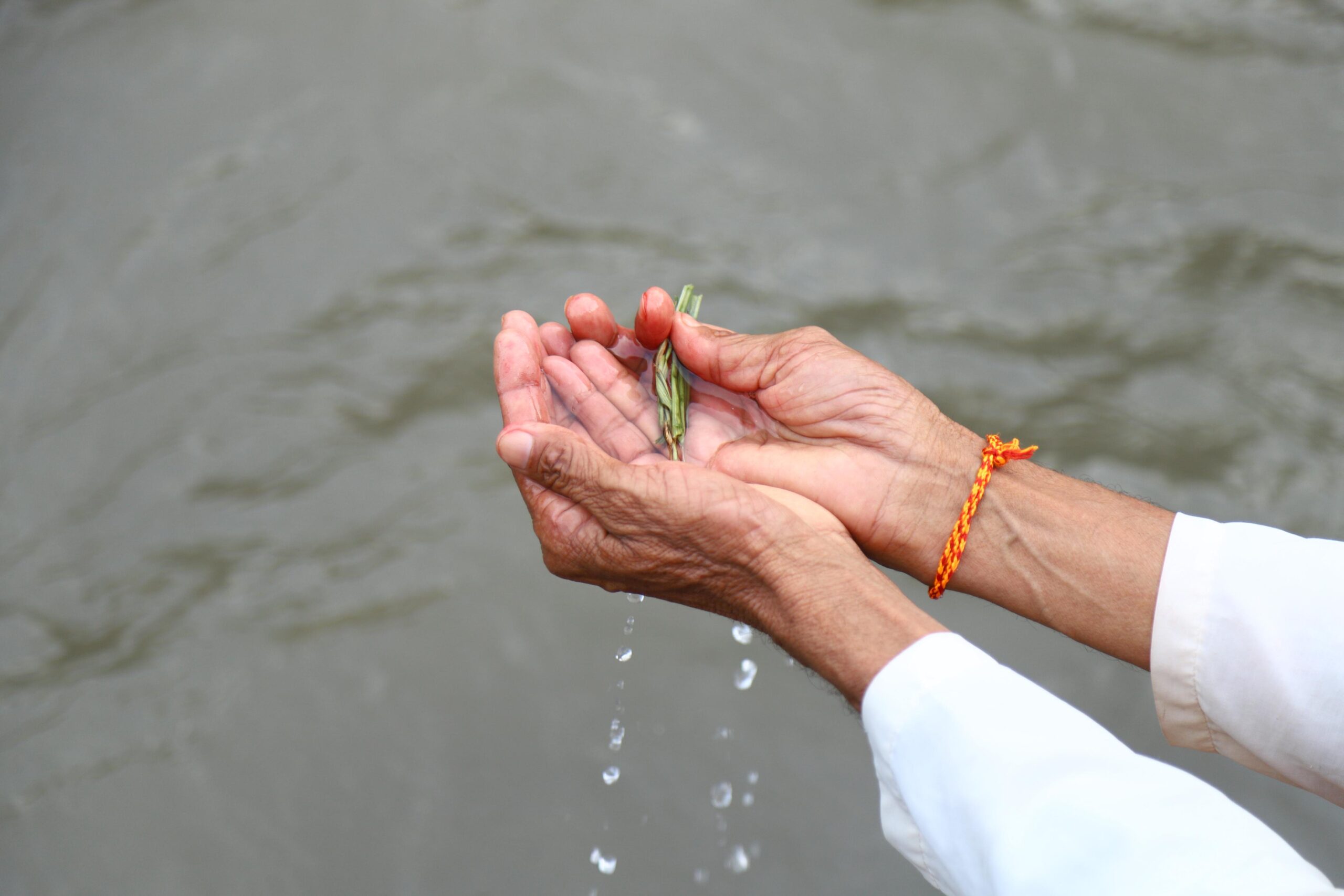 Sorha Sraddha