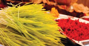 Dashain Tika