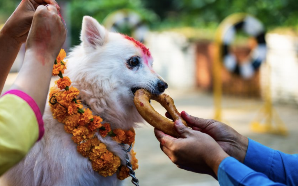Dog Tihar