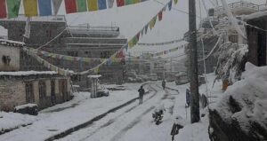 Mustnag snowfall