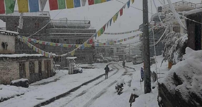 Mustnag snowfall