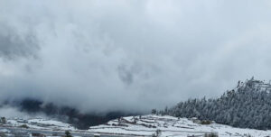 Weather