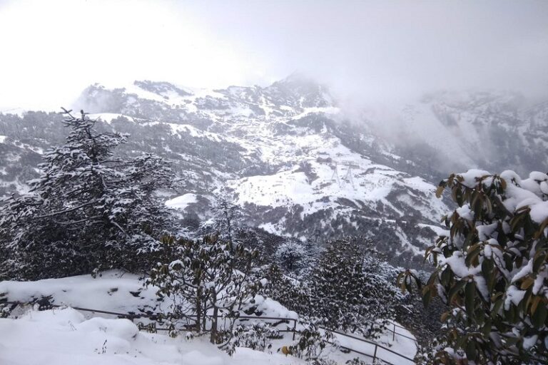 Winter