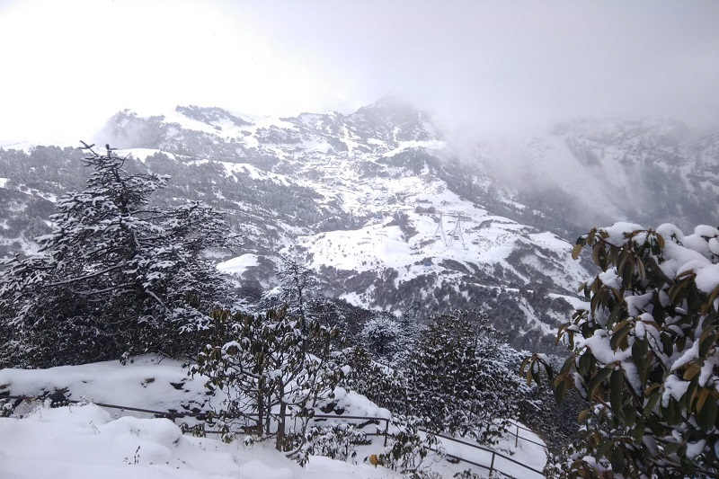 Winter