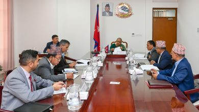 NPL Cabinet