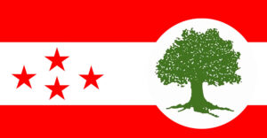 NC Flag