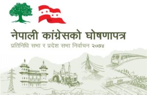 Congress Mainifesto