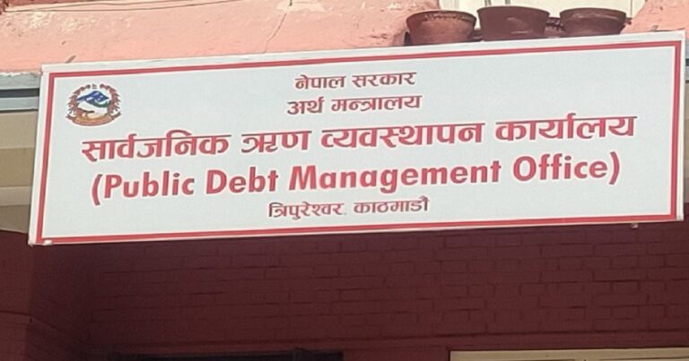 NP Public debt