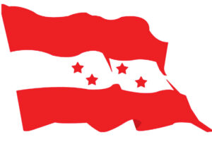 Nepali congress Flag