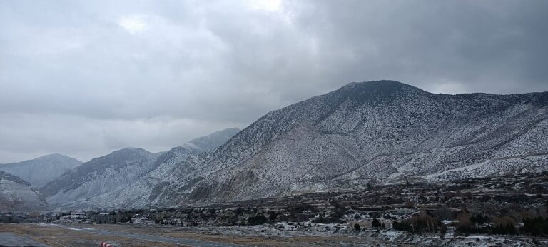 Snow Fall Mustnag