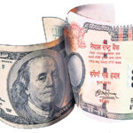 USD Np