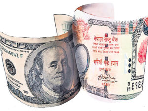 USD Np