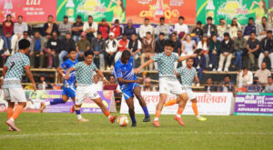 Jhapa Goldcup