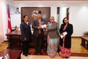 PM Karki constitution