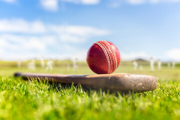 Cricket