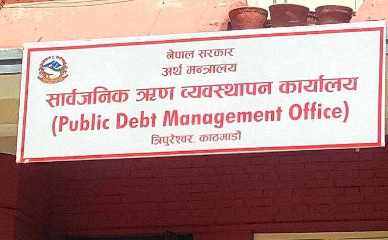 Public Debt