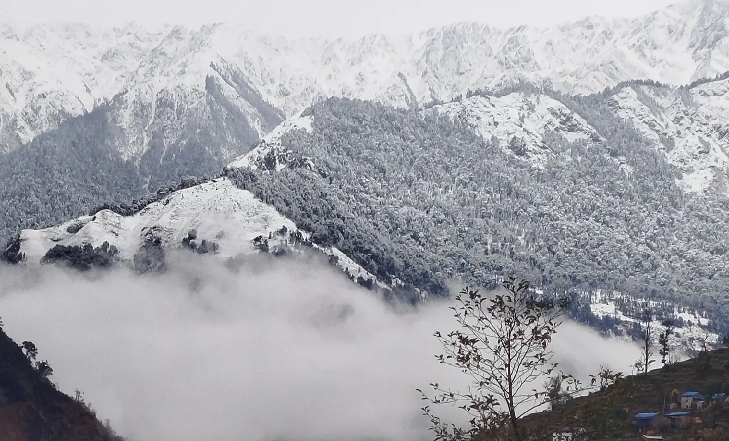 Sanni Triveni snowfall