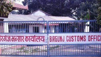 Birgunj