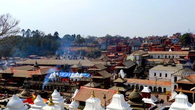 Pashupati Gaushala