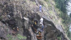 honey hunting