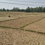 Banke farm Land