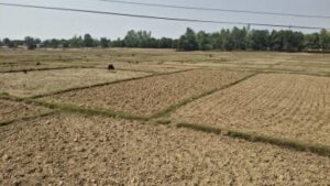 Banke farm Land