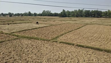 Banke farm Land