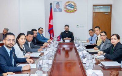 Government decides to extend statute amendment discussion paper drafting panel’s term