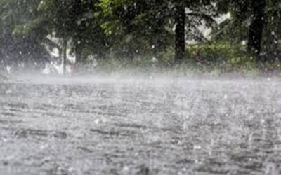 Probability of rainfall across various regions