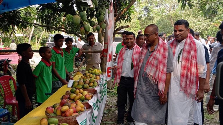 Mango Festival Janakpur