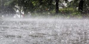 Rainfall