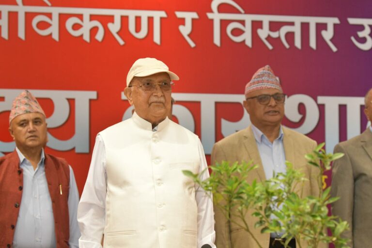 UML Oli