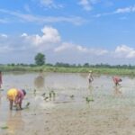 Banke Paddy