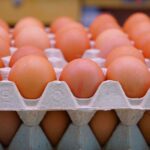Egg
