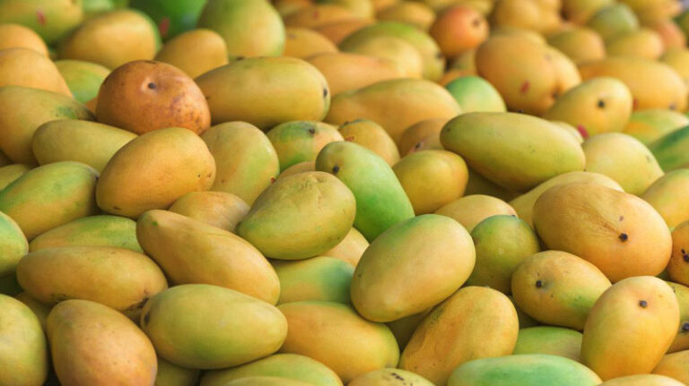 Maldaha Mango