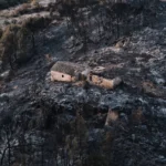 Wildfire in southern Spain
