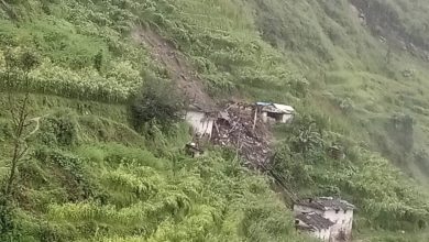 Gaumul Bajura