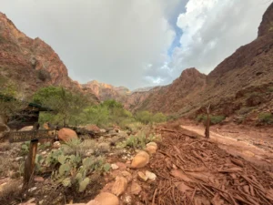 Grand Canyon