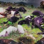 Mugu lightning death