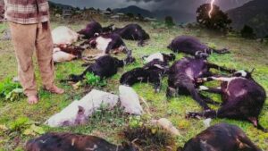 Mugu lightning death