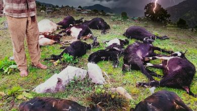 Mugu lightning death