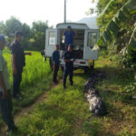 Tanahu Bhoteskhi Death body