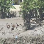 Bhotekoshi Flood