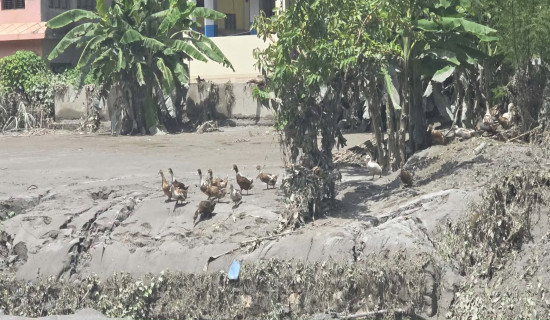 Bhotekoshi Flood