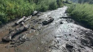 Karnali