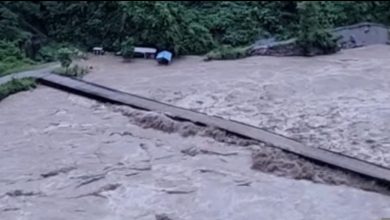 Mirmi Bridge colaps