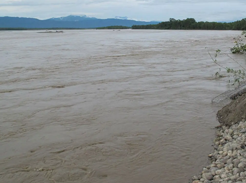 Narayani River